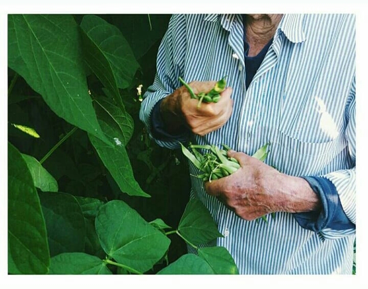 IMG_20200423_110330_206-1